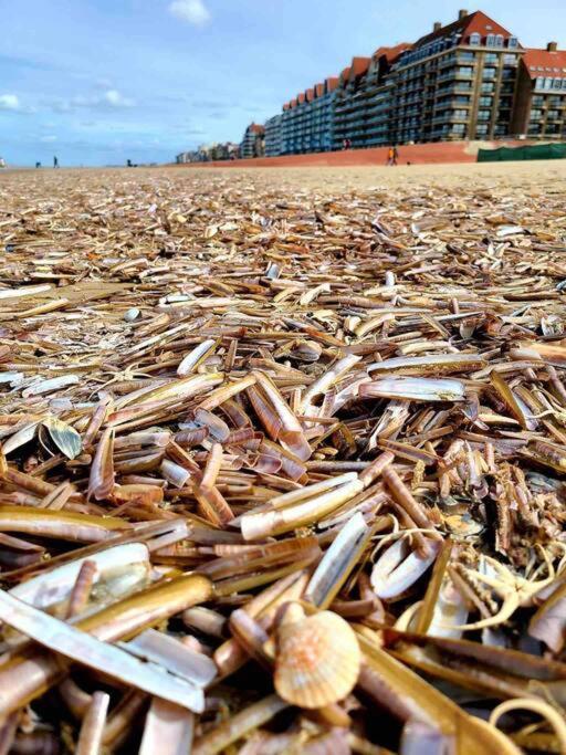 Face A La Mer, Appartement Rdc Bray Dunes Exterior foto